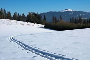 爱游戏登录入口-世界青少年雪地徒步挑战赛在东北热情开跑，雪地徒步穿越